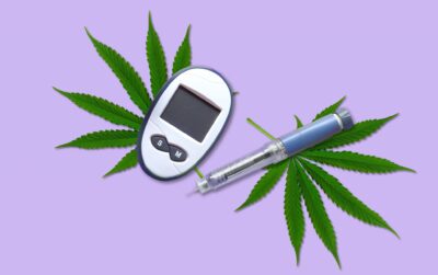 Blog marijuana and diabetes 1 scaled 1