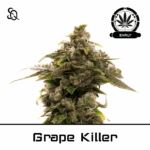 Grape Killer Early Version