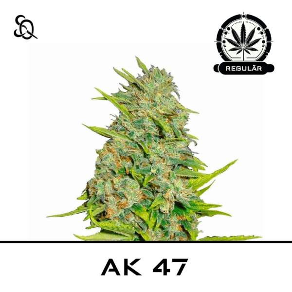 ak 47