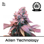 Alien technology early version