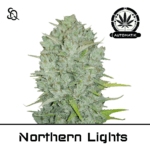 Automatik Northern Lights