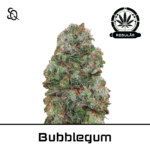 bubblegum