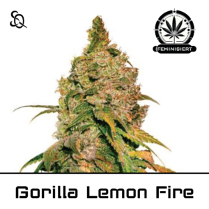 gorilla lemon fire
