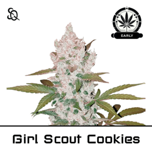 Girl Scout Cookies Early Version