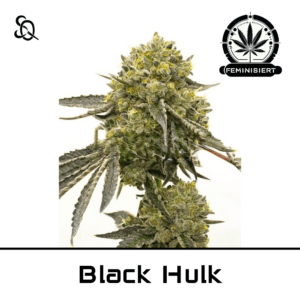 Black Hulk
