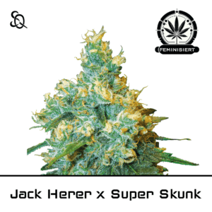 Jack Herer X Superskunk