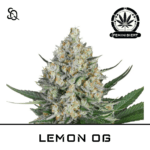 lemon og