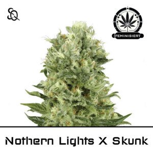 Northern Lights X Skunk