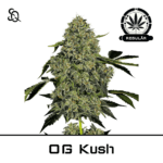 OG Kush