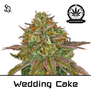 Automatik Wedding Cake