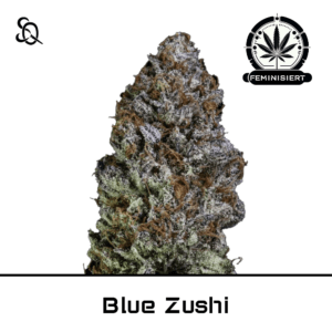 blue zushi