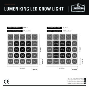 Lumen King LED 465W – Bild 3