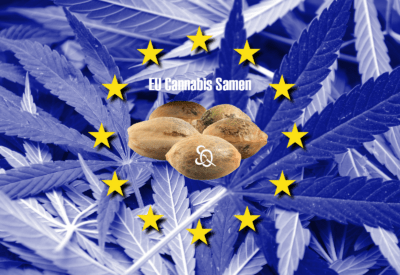 cannabis samen bestellen