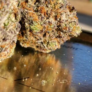 Gushers Fast Flowering - Humboldt Seeds – Bild 3