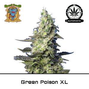 green poison xl