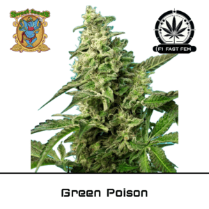 Green Poison F1
