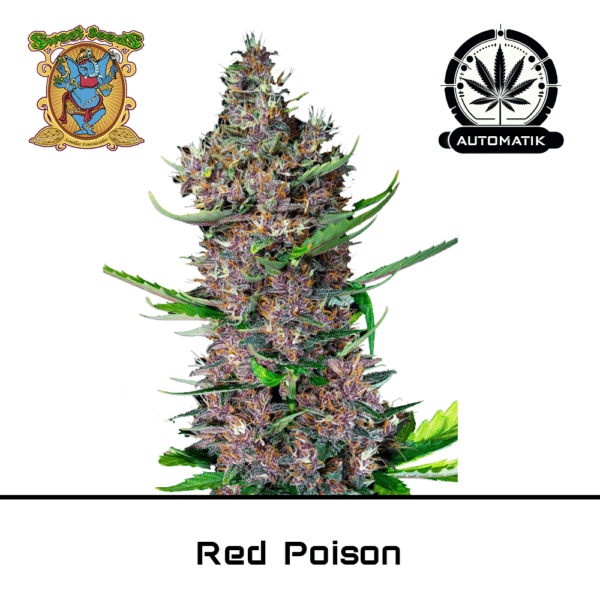 Auto Red Poison