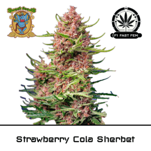 Strawberry Cola Sherbet