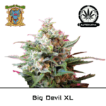 big devil xl