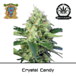 crystal candy