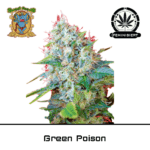 Green Poison