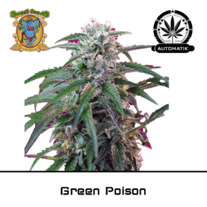 green poison