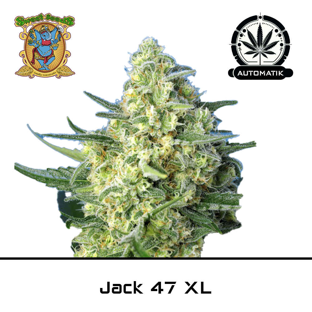 jack 47
