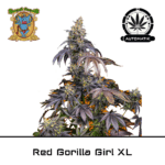 Auto Red Gorilla Girl XL