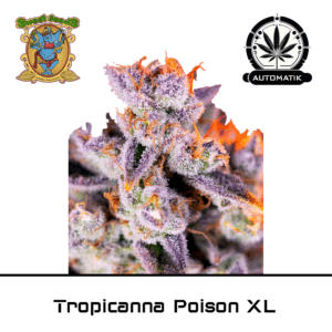 Tropicanna Poison