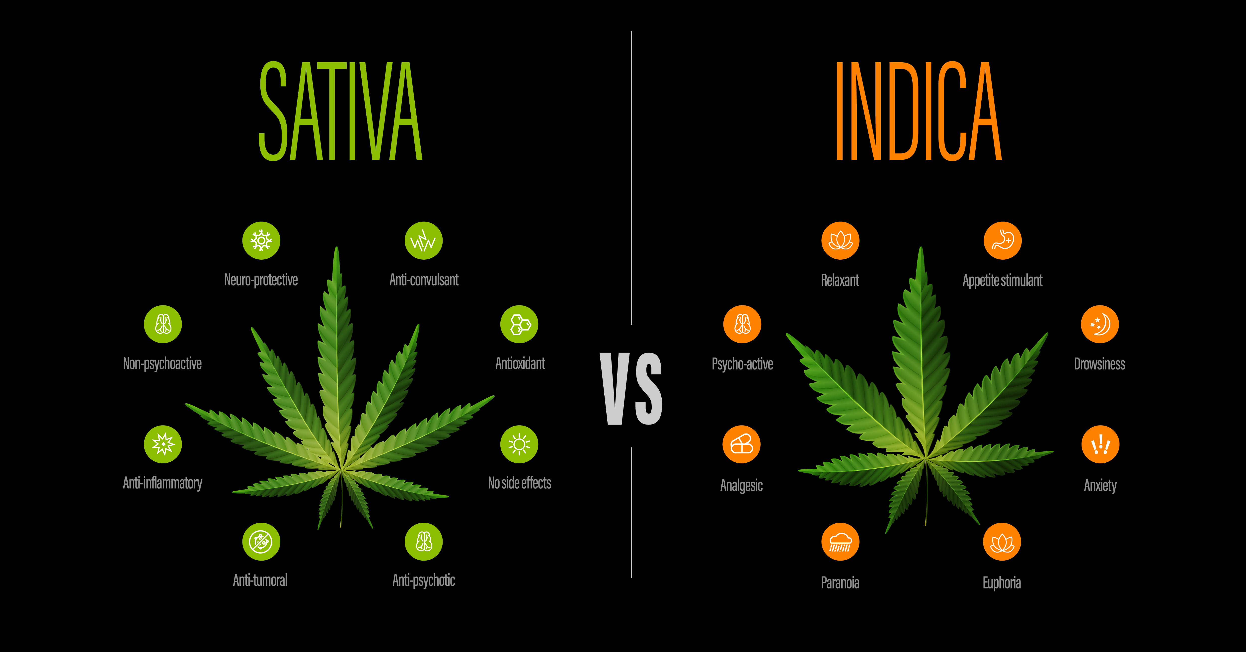 Sativa und Indica