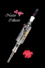 nectar collector