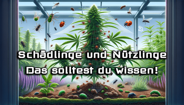 Schädlinge und Nützlinge