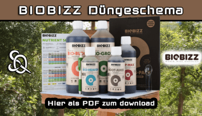 biobizz düngeschema