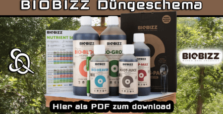 biobizz düngeschema