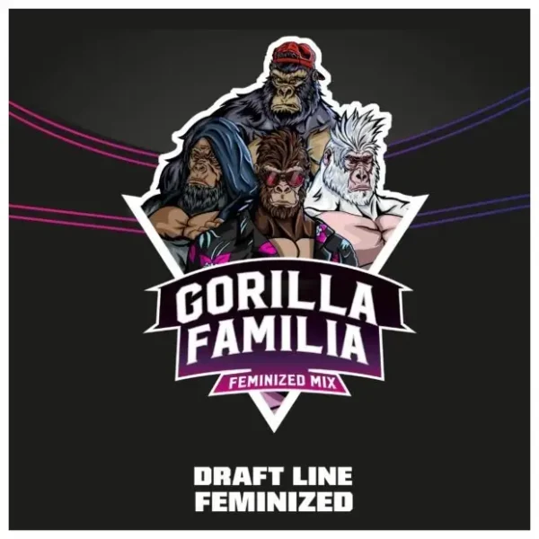 bsf seeds gorilla familia feminized mix draft line