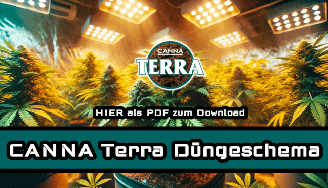 CANNA Terra Düngeschema