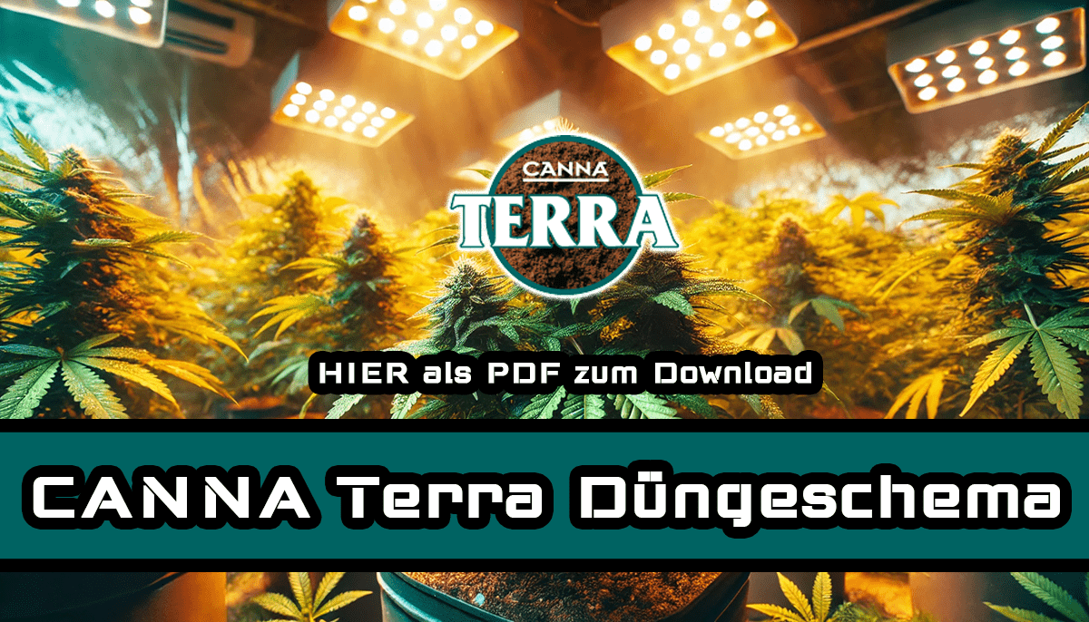 CANNA Terra Düngeschema