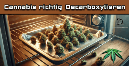 Cannabis Decarboxylieren