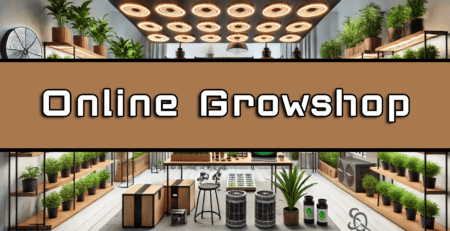 online growshop