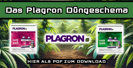 Plagron Düngeschema