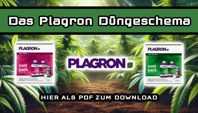 Plagron Düngeschema