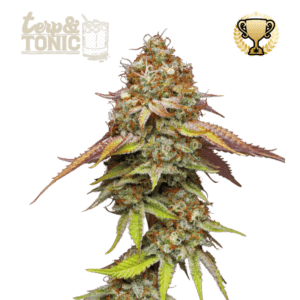 terp tonic fem