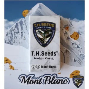 th seeds mont blanc