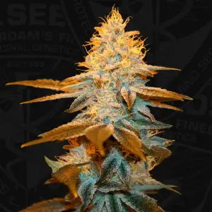 T.H. Seeds Strawberry Glue