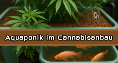 Aquaponik