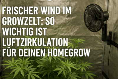 Luftzirkulation