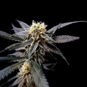strawberry banana