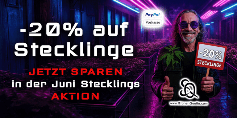 StonerQuelle - Headshop, Growshop, Cannabis Samen, Stecklinge
