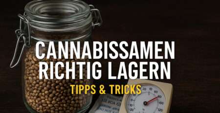 Cannabissamen lagern