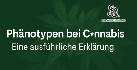 Phänotypen bei Cannabis